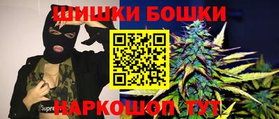 МДПВ Будённовск