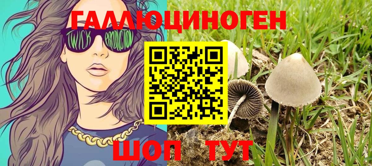 Нарткала  Псилоцибиновые грибы Cubensis  Вход с VPN 